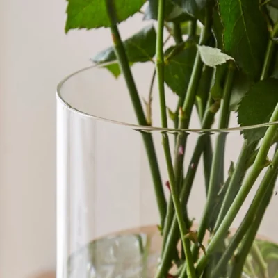 Dunelm Cylinder Glass Vase, 25cm