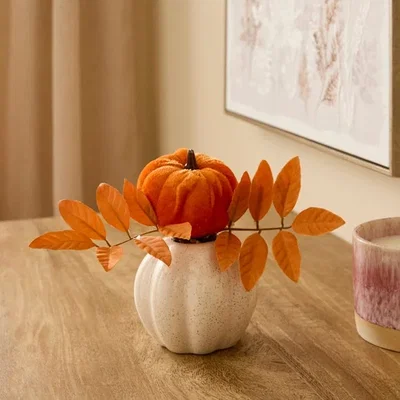 Dunelm Artificial Velvet Pumpkin In Speckled Ceramic Pumpkin Vase