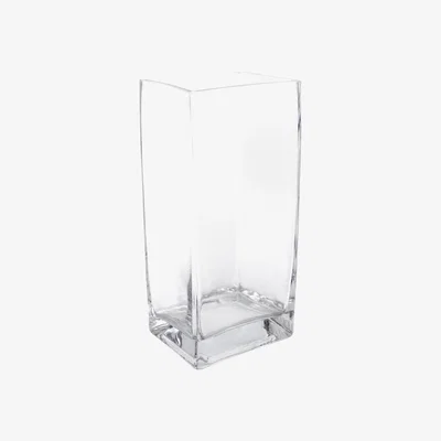 Dunelm Clear Tank Vase Clear