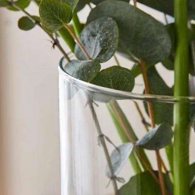 Dunelm Cylinder Glass Vase, 29cm