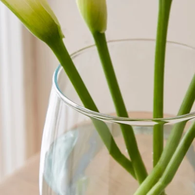 Dunelm Curved Glass Bullet Vase