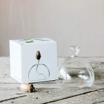 Graham & Green Acorn Vase