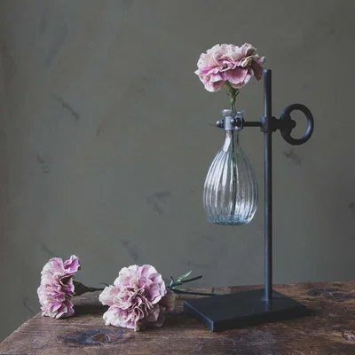 Graham & Green Test Tube Stem Vase