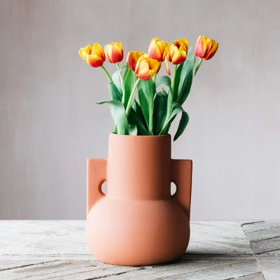 Graham & Green Orange Terracotta Vase