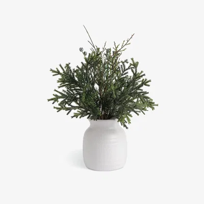 Habitat Habitat Artificial Spruce Arrangement in White Ceramic Pot