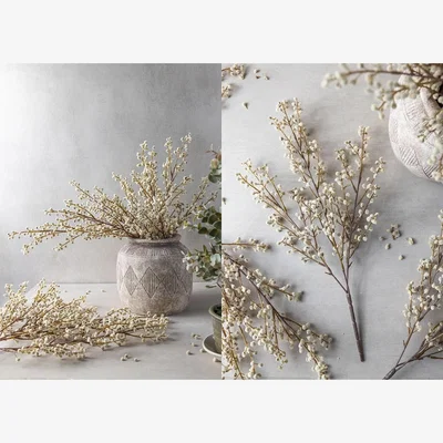 Heal's Abigail Ahern Mimosa Cream Faux Stem