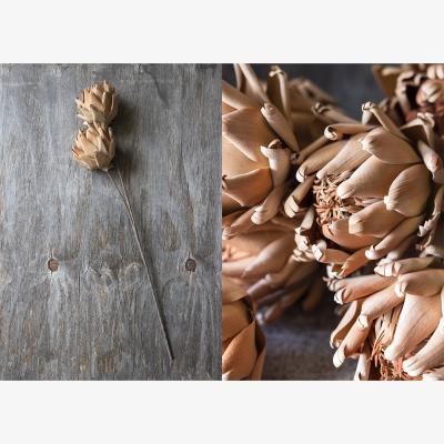 Heal's Abigail Ahern Lotus Faux Stem