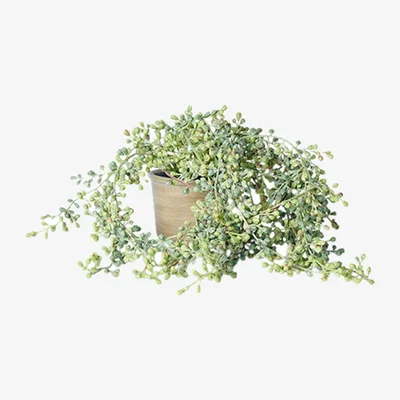 Heal's Abigail Ahern Trailing String of Beads Faux Plant