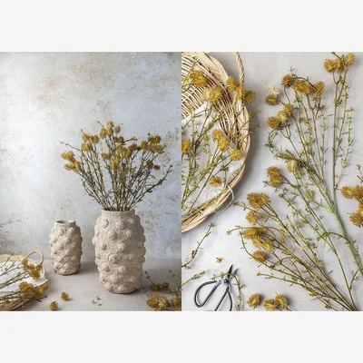 Heal's Abigail Ahern Meadow Pom Pom Faux Stem
