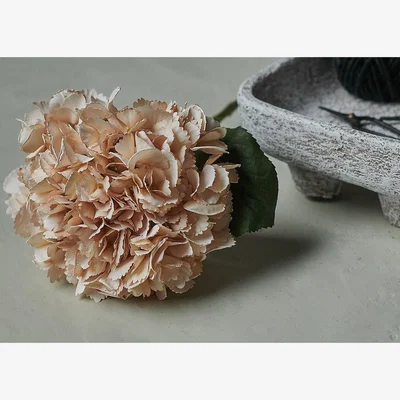 Heal's Abigail Ahern Hydrangea Vanilla Faux Stem