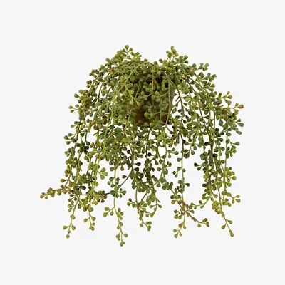 Heal's Abigail Ahern String of Pearls Succulent in Pot Faux Plant
