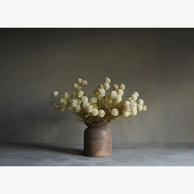 Heal's Abigail Ahern Melaleuca Cream Faux Stem