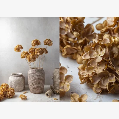Heal's Abigail Ahern Hydrangea Walnut Faux Stem