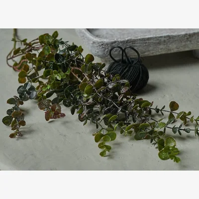 Heal's Abigail Ahern Trailing Eucalyptus Branch Faux Stem