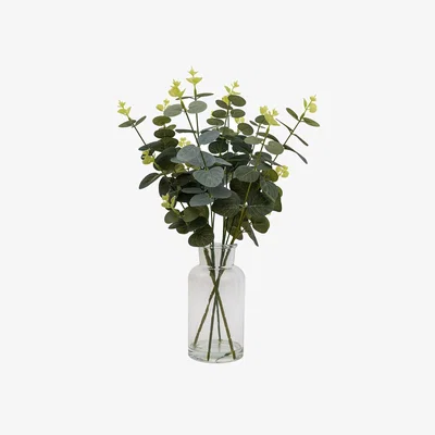Homebase Eucalyptus in Glass Vase