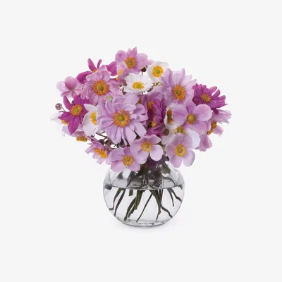 John Lewis Dartington Crystal Florabundance Anenome Vase, H12.5cm, Clear