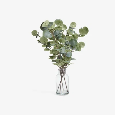 John Lewis John Lewis Artificial Eucalyptus in Glass Vase