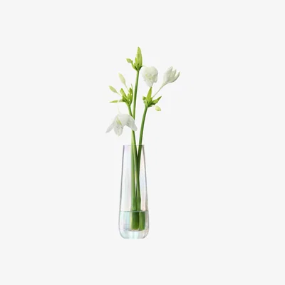 John Lewis LSA International Pearl Optic Bud Vase, H20cm