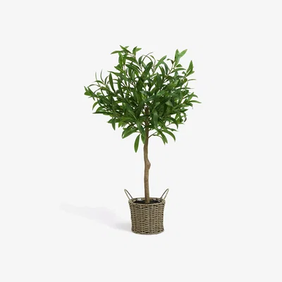 John Lewis John Lewis Artificial Olive Tree in Wicker Basket, Natural/Green