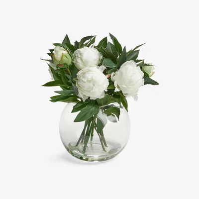 John Lewis Floralsilk Artificial White Peonies in Glass Globe Vase, H28cm
