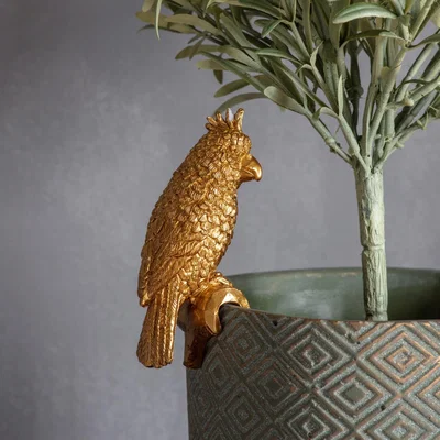 Knees Levi Parrot Pot Hanger - Gold (Pack of 2)