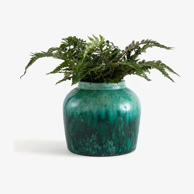 La Redoute Chloris Enamelled Terracotta Vase, H28 cm