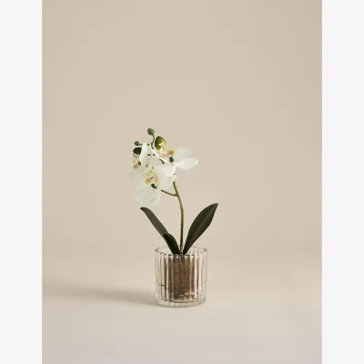 Marks & Spencer M&S Artificial Small Orchid in Glass Pot White