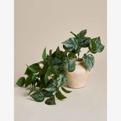 Marks & Spencer M&S Artificial Trailing Pothos Vase Natural