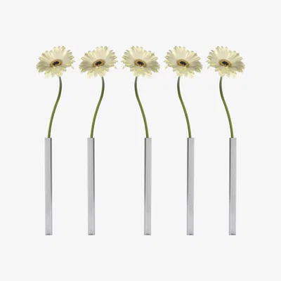 Made in Design Magnetic Bud vase - Set of 5 by Pa Design Metal
