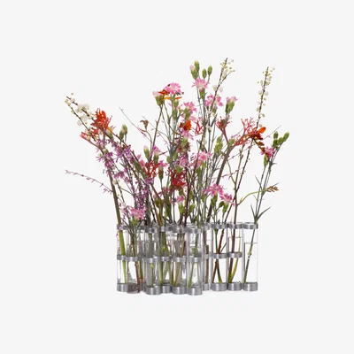 Made in Design d'Avril Vase - Medium  / L 74 x H 15 cm by Tsé-Tsé Transparent