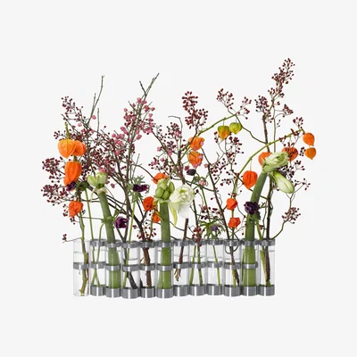 Made in Design d'Avril XXL Vase - XXL / L 69 x H 18 cm by Tsé-Tsé Transparent