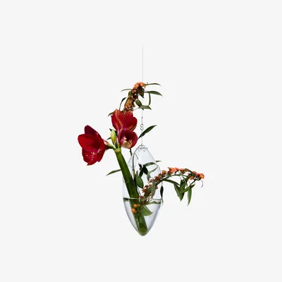 Made in Design Paresseux Vase - Hanging vase by Tsé-Tsé Transparent