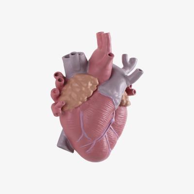 Made in Design Love in Bloom Color Vase - / Human heart - Porcelain / H 25 cm by Seletti Multicoloured