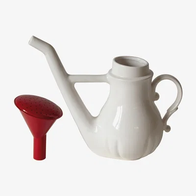 Made in Design Swan Vase by Seletti White/Red