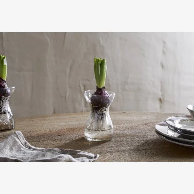 Nkuku nkuku Enir Hyacinth Vase | Decorative Accessories | One Size | Clear