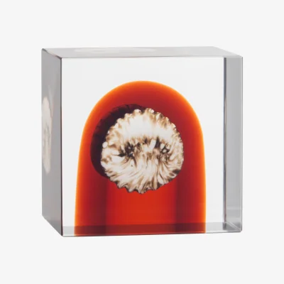 Nordic Nest Iittala Iittala annual cube 2026