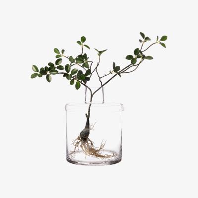Nordic Nest Ernst glass vase clear Ø16 cm