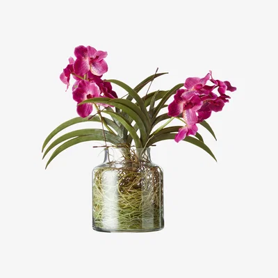 OKA Cymbidium Orchids with Vase - Pink