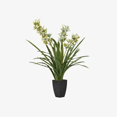 OKA OKA, Faux Cymbidium Orchid With Narrow Vase - Green, Artificial Plants, Glass