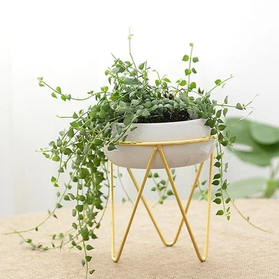 The Range Ceramic Vase Hydroponics Marble Vein - White