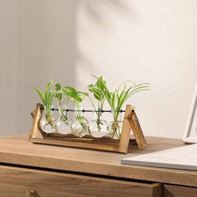 The Range 5 Glass Bulbs Vase with Wooden Stand - Clear