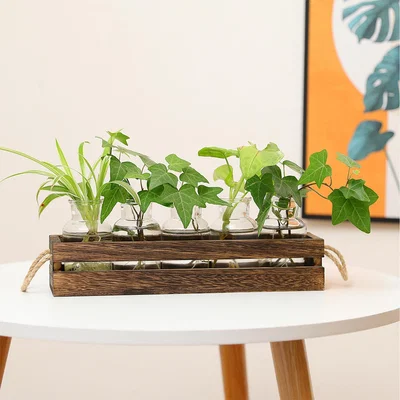The Range 5-Piece Glass Vases with Wooden Holder - Transparent+Brown