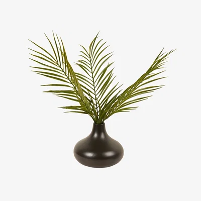 The Range Palm in Black Vase - Black and Green