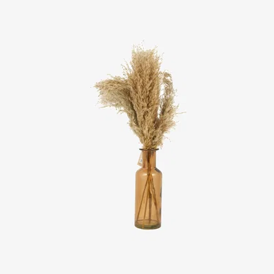 The Range Pampas in Amber Vase Arrangement - Neutral