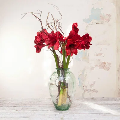 The Range Amaryllis Bouquet with Four Long Stems of Amaryllis in a Vase by Peony - Vibrant red with natural green stems