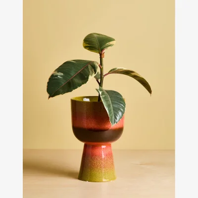 Rose & Grey HKLIVING Lime Green Retro Flower Pot