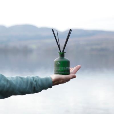 Dunelm Meg Hawkins The Highlands Stag Diffuser