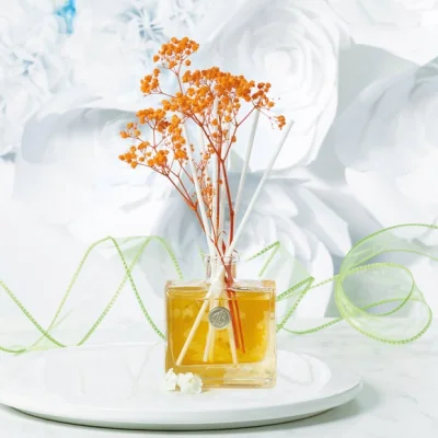 Dunelm Life In Bloom Orange Blossom and Mandarin Diffuser Orange