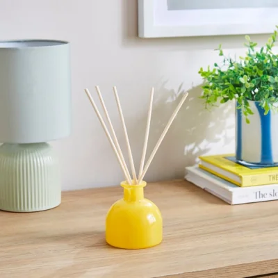 Dunelm Pineapple Diffuser