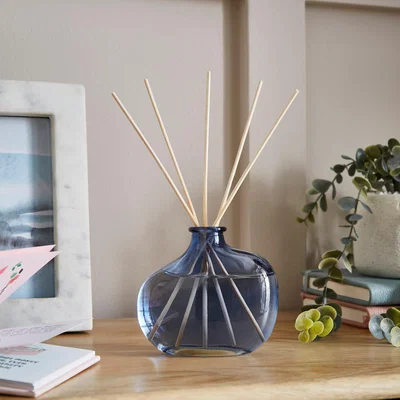 Dunelm Sea Spray Organic Shaped Glass Diffuser